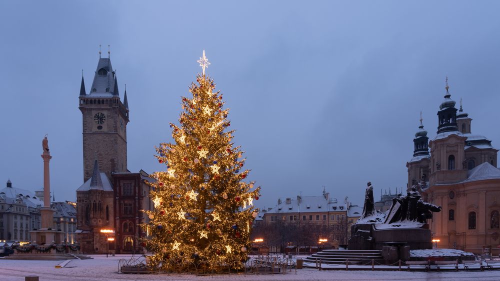 Firma začala hledat letošní vánoční strom pro Staroměstské náměstí